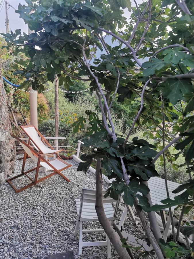 Casa Vacanze Lorenzo Villa Malfa  Ngoại thất bức ảnh